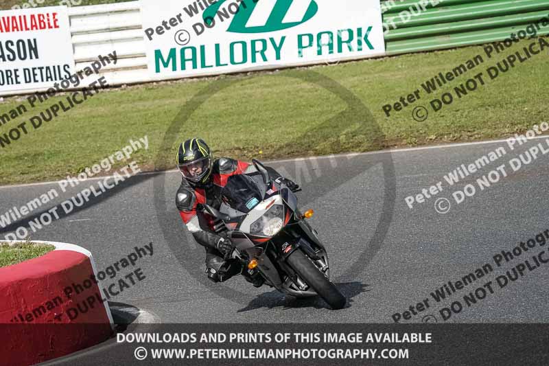 enduro digital images;event digital images;eventdigitalimages;mallory park;mallory park photographs;mallory park trackday;mallory park trackday photographs;no limits trackdays;peter wileman photography;racing digital images;trackday digital images;trackday photos